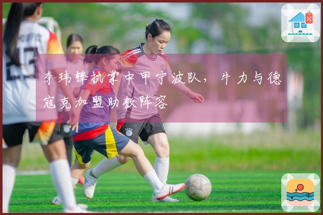 李玮锋执掌中甲宁波队，牛力与德寇克加盟助教阵容